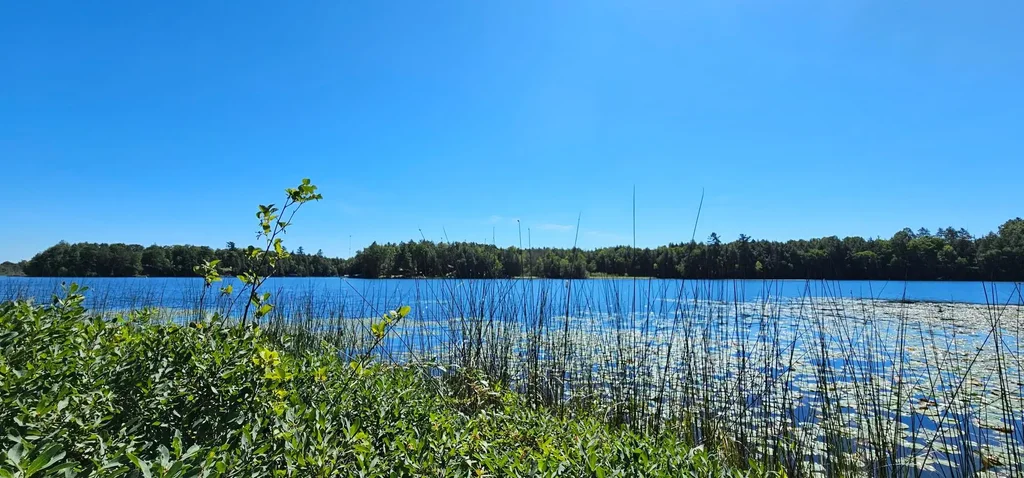 Lot3 Off Golf Course Dr, Mercer