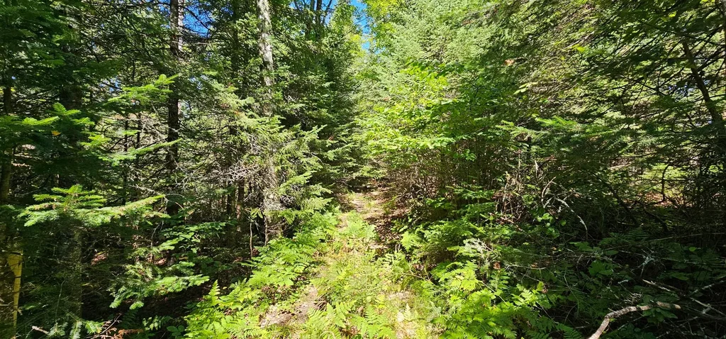 Lot4 Off Golf Course Dr, Mercer