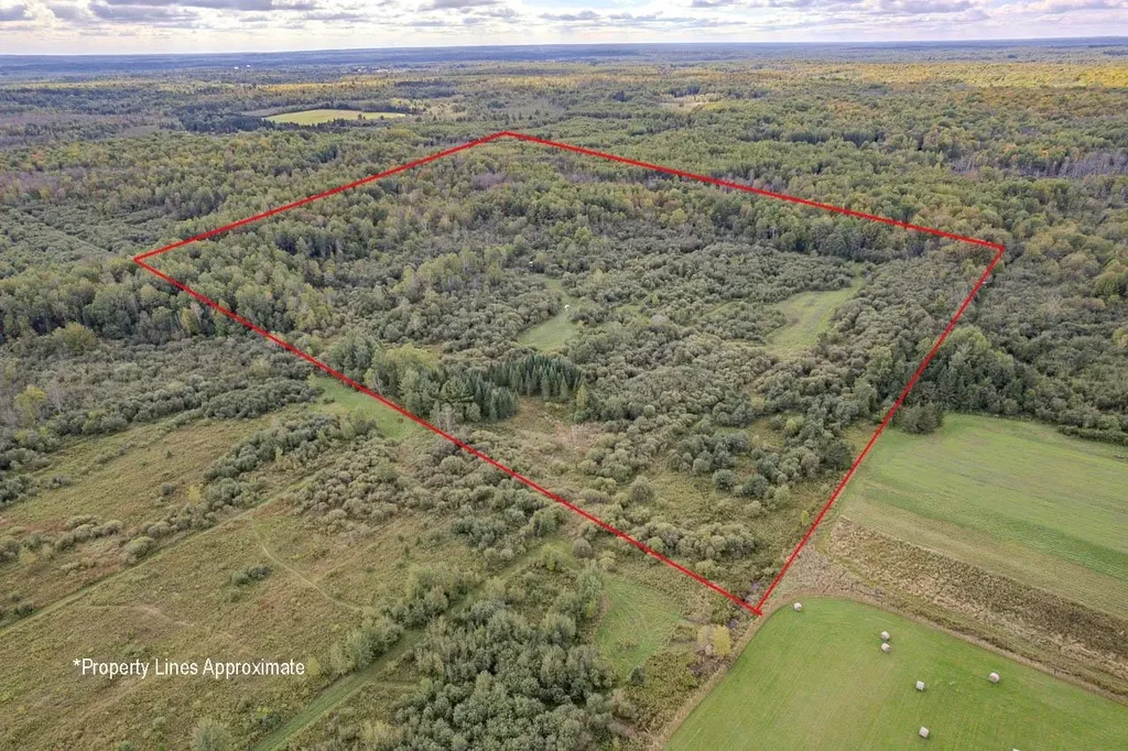 40 Acres Lincoln Dr, Tomahawk
