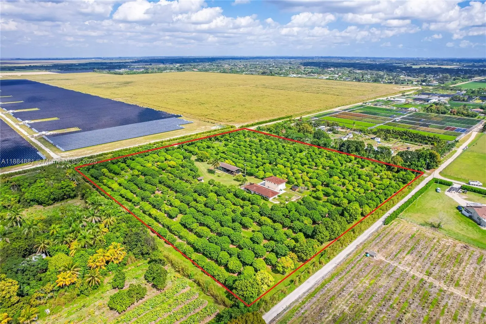 Photo of Listing #A11884881