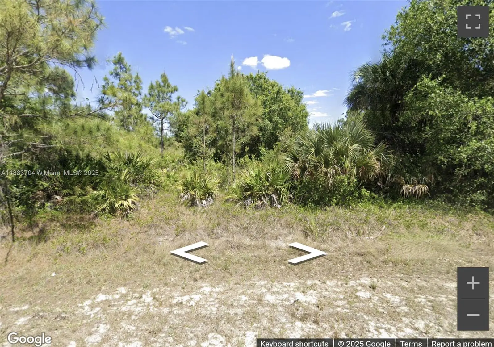 Photo of Listing #A11883704