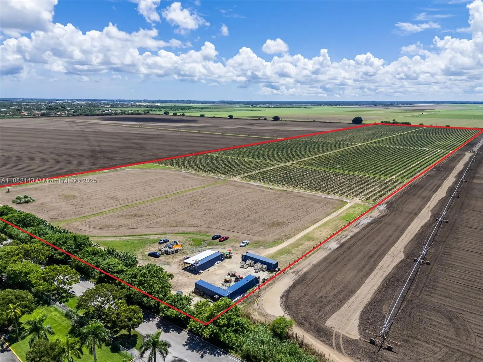 Photo of Listing #A11882143