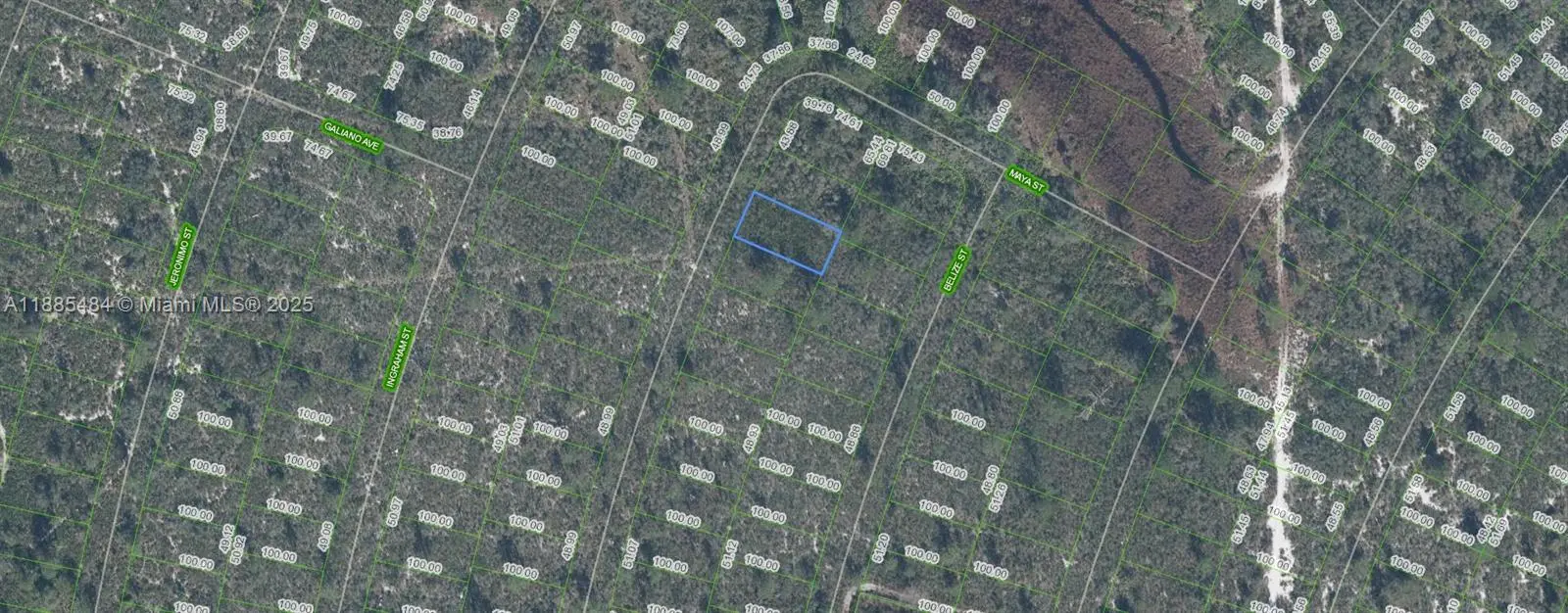 Photo of Listing #A11885484