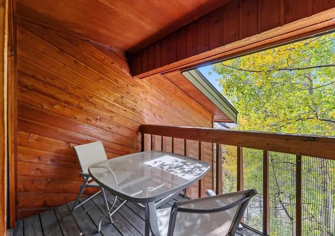 305 S Park Avenue 402, Breckenridge