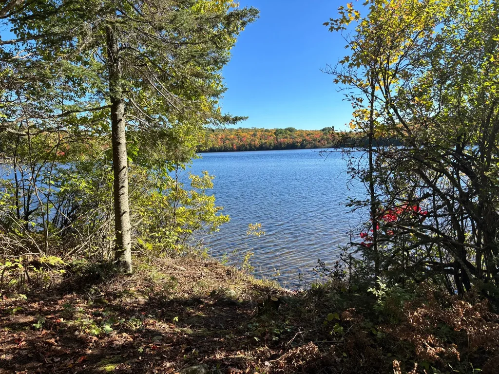 5 Acres Retriever Ln, Phelps