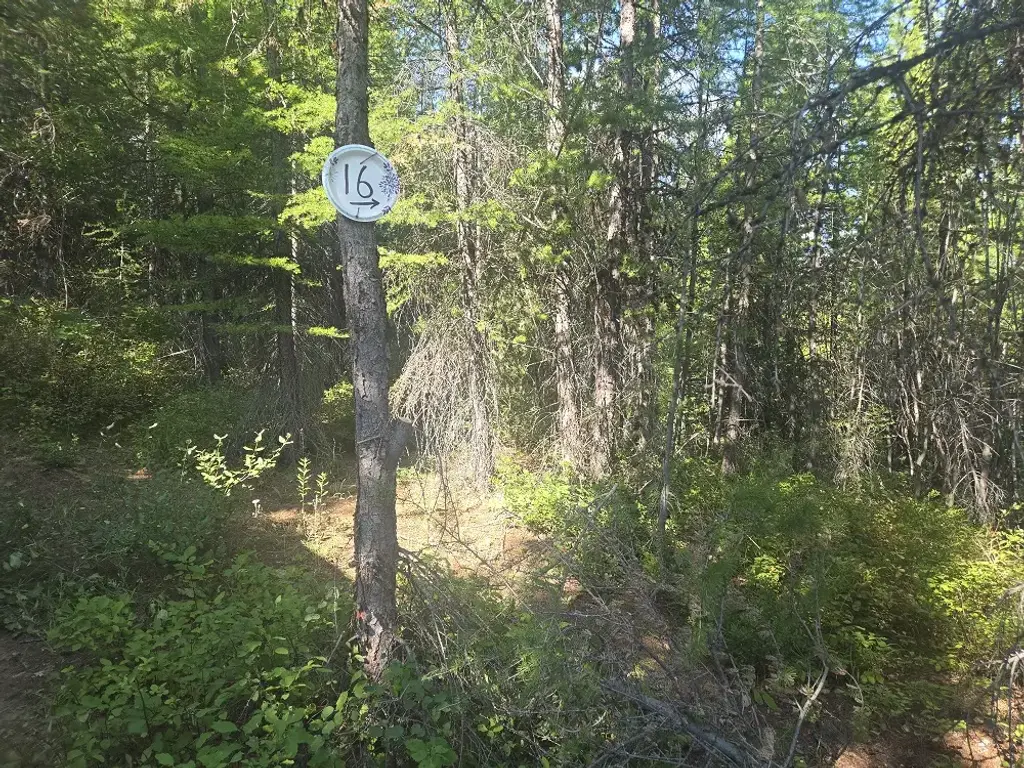 Lot 16 Nine Mile Road, Huson