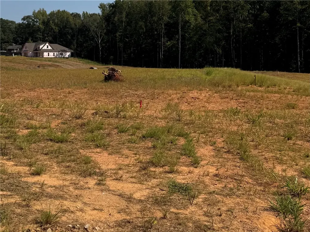 Lot 31 Long Leaf Ln, Opelika