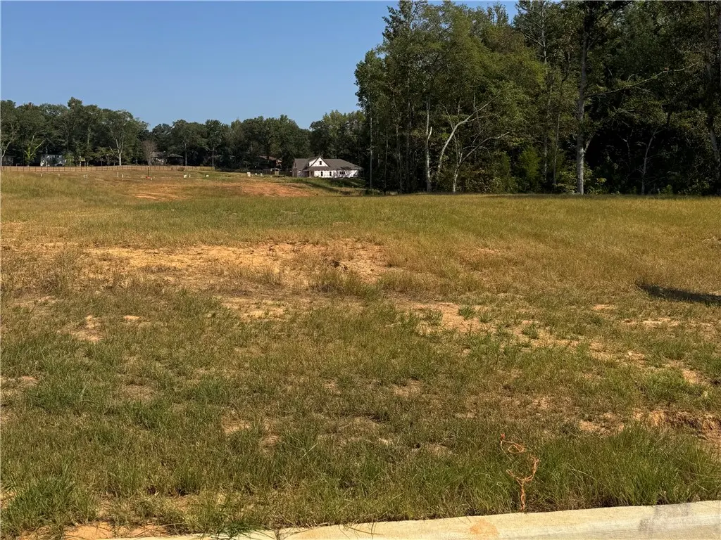 Lot 29 Long Leaf Ln, Opelika