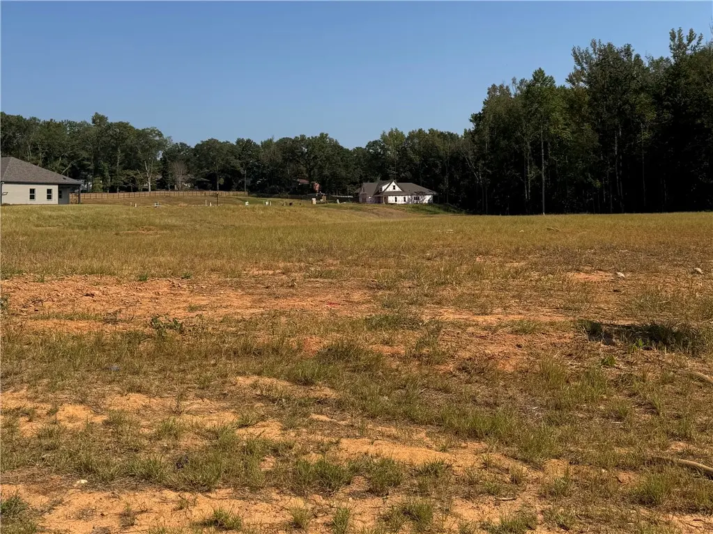 Lot 30 Long Leaf Ln, Opelika