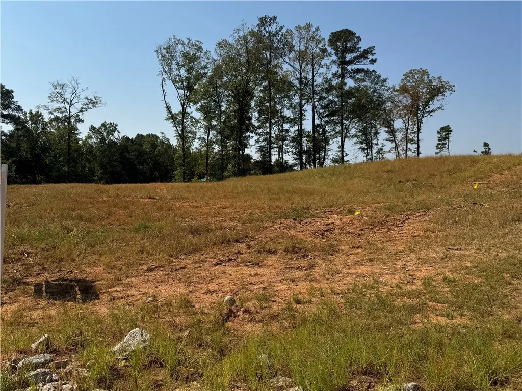 Lot 28 Long Leaf Ln, Opelika