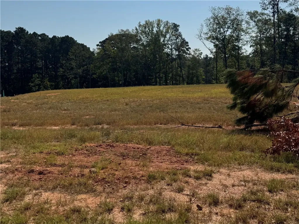 Lot 26 Long Leaf Ln, Opelika