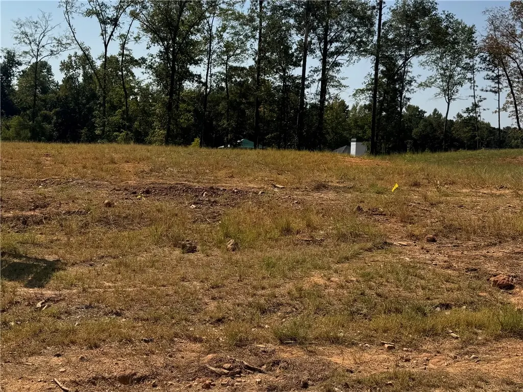 Lot 27 Long Leaf Ln, Opelika