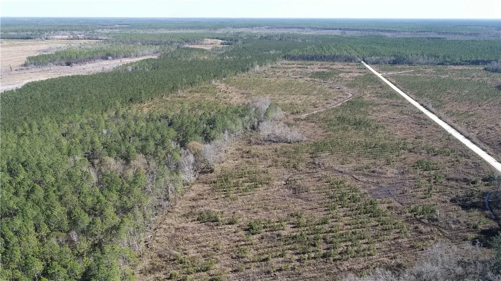 1554 Flowers Break Road, Jesup