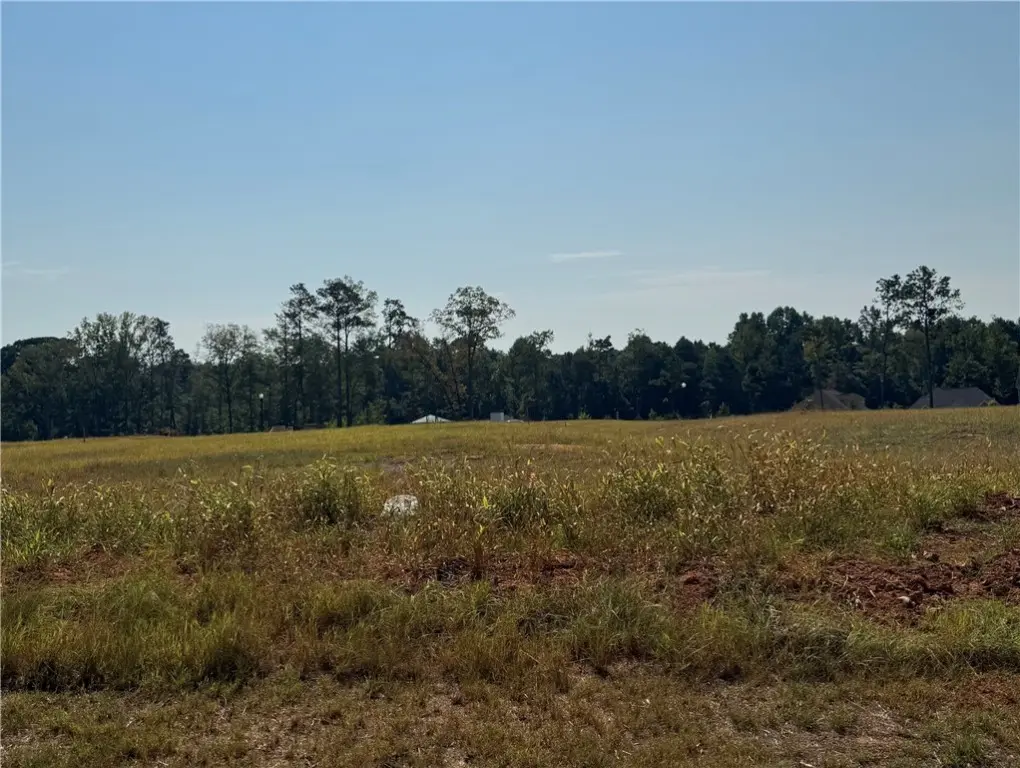 Lot 18 Long Leaf Ln, Opelika