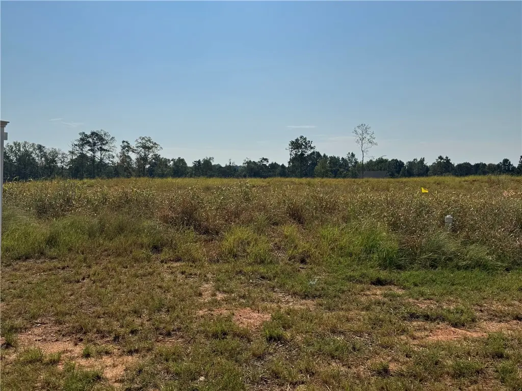 Lot 16 Long Leaf Ln, Opelika