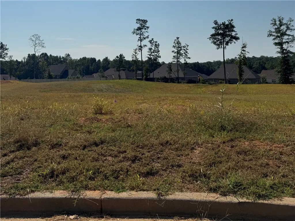 Lot 13 Long Leaf Ln, Opelika