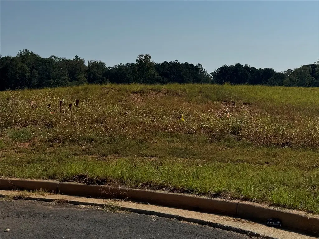 Lot 14 Long Leaf Ln, Opelika