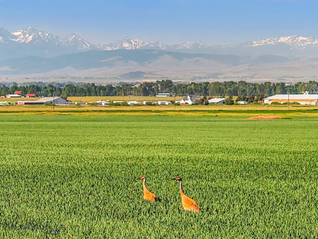 Tbd Penwell Bridge Road, Belgrade