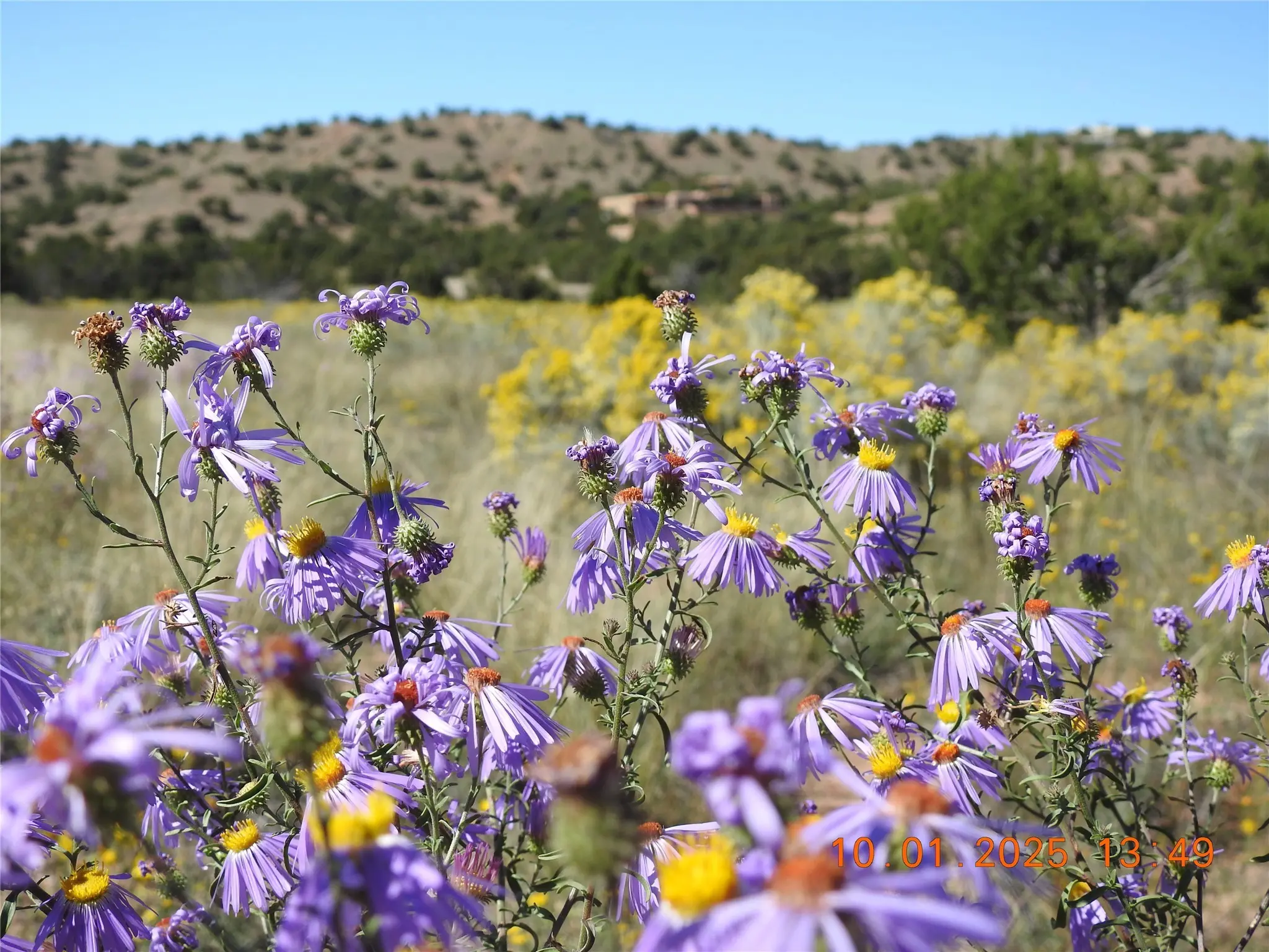133 Paseo De La Tierra, Santa Fe