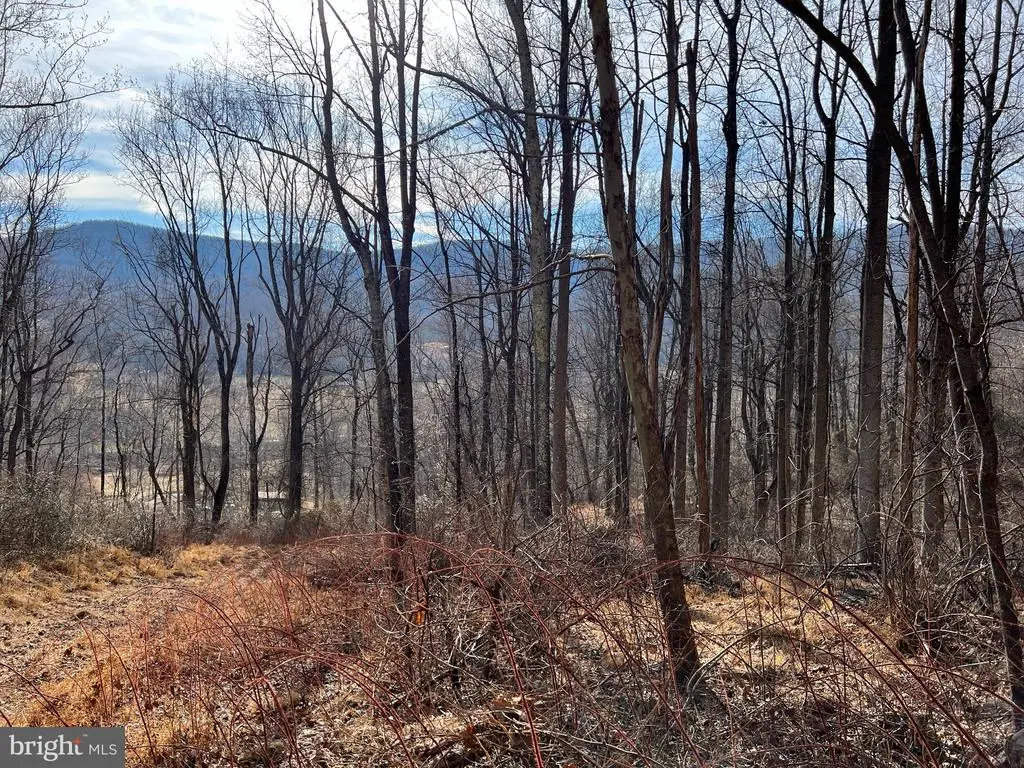Harris Hollow Rd, Washington