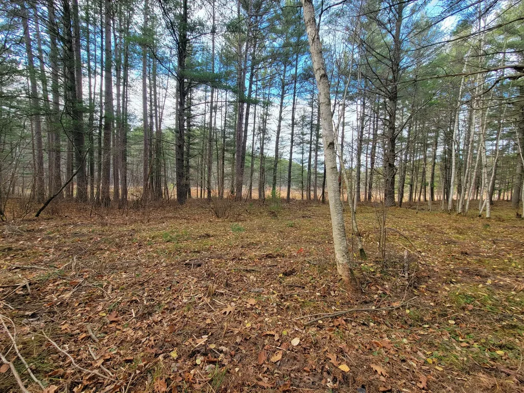 Lot 10 Charles Ct, Hazelhurst