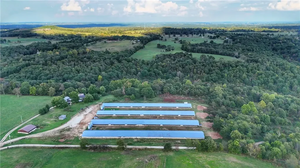 1989 Patton Lane, Harrison