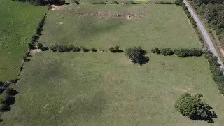 Stafford Road, Hector