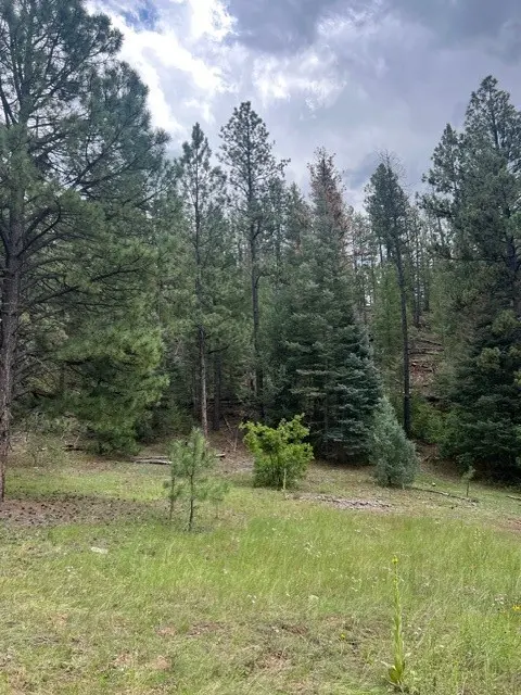 Lot D-!, 18.561 Acres In El Macho Canyon, Pecos