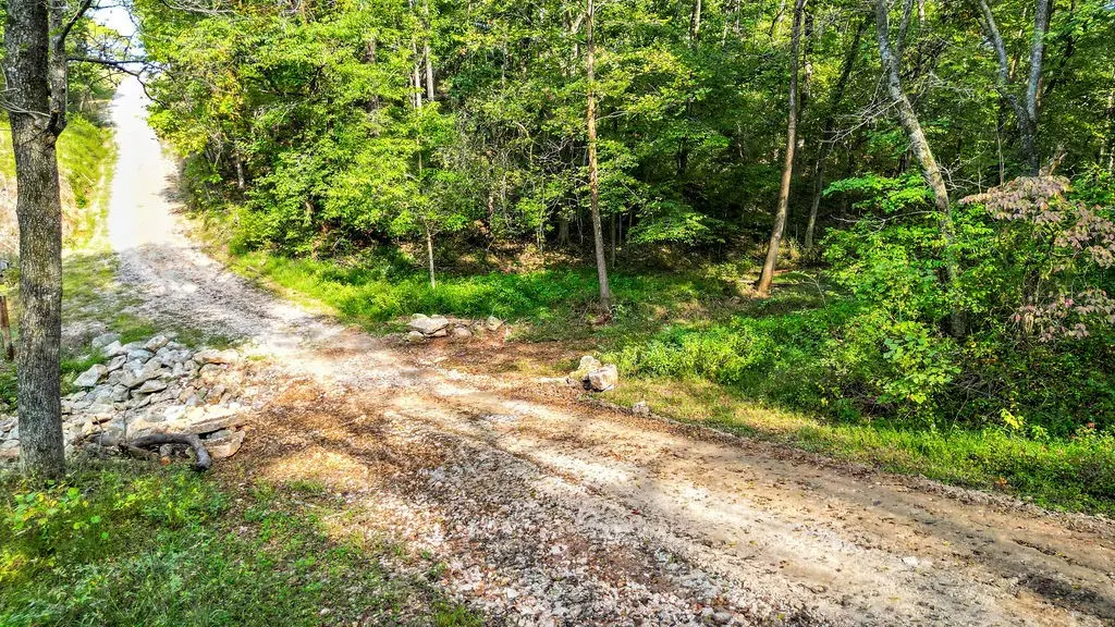 Mariano Road, Bentonville