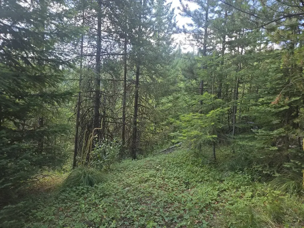 Lot 22 Nine Mile Road, Huson