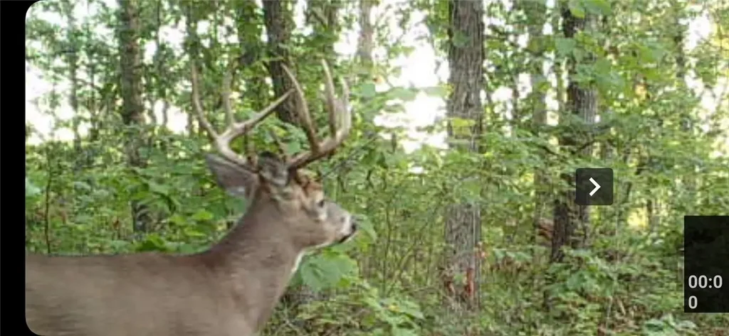 Xx153 River Road, St Croix Falls