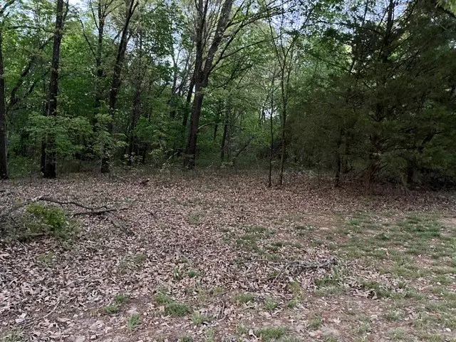 13668 Tally Gate Road, Springdale