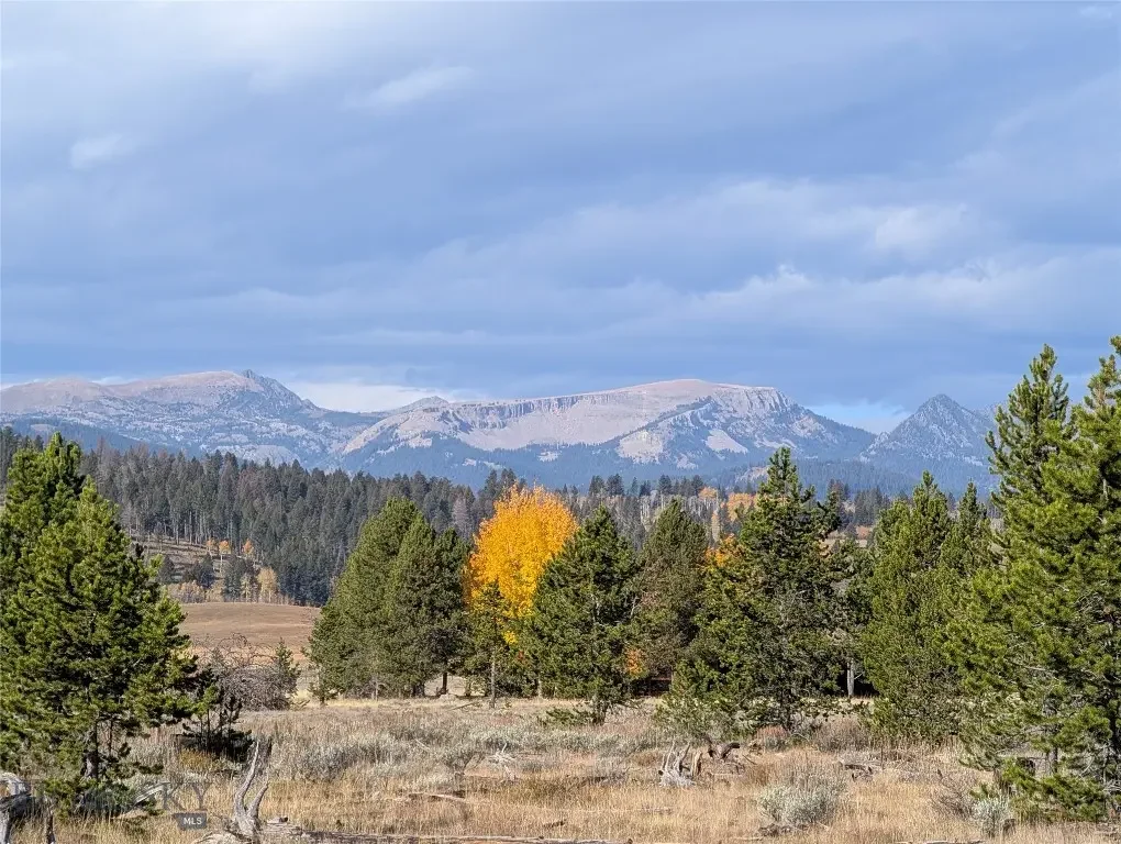 Nhn Valentine Lane, West Yellowstone
