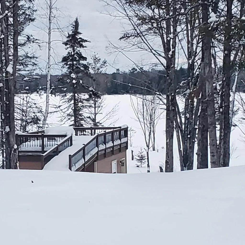 7650 Annabelle Lake Rd, Presque Isle