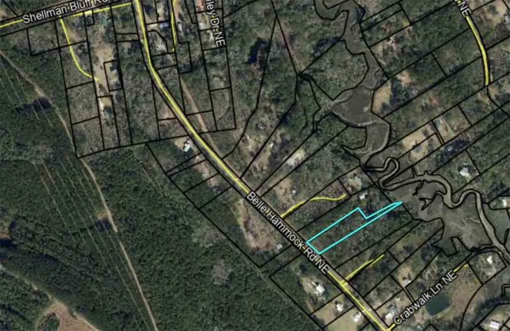 3558 Belle Hammock Road Ne, Townsend