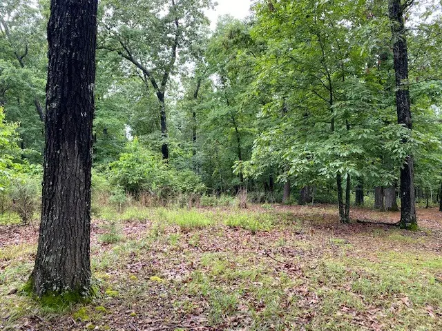 Lot 5 Lakeview Drive, Bull Shoals