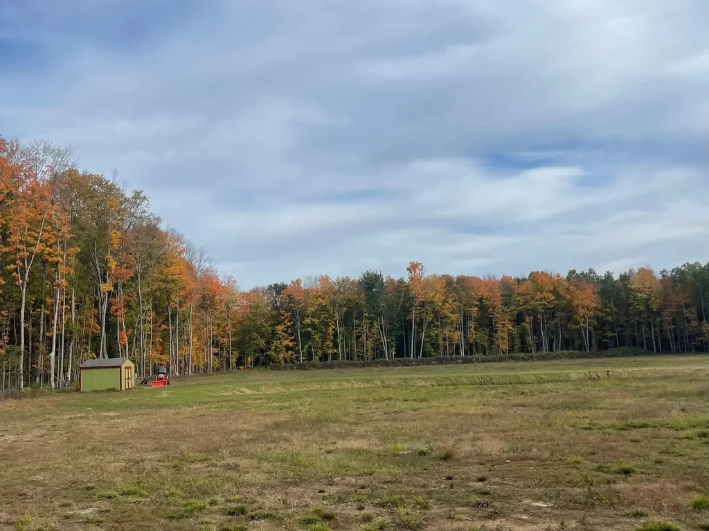 21 Acres Patterson Tr, Minocqua
