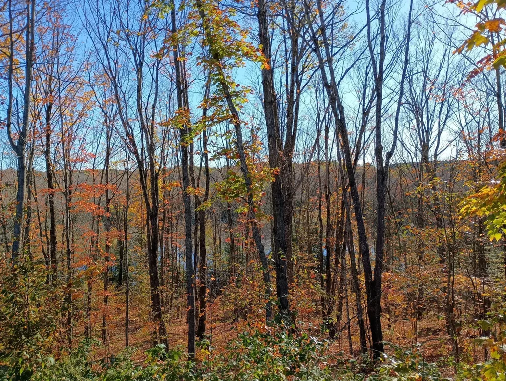 On Kornstead Rd # 80 Ac, Mellen