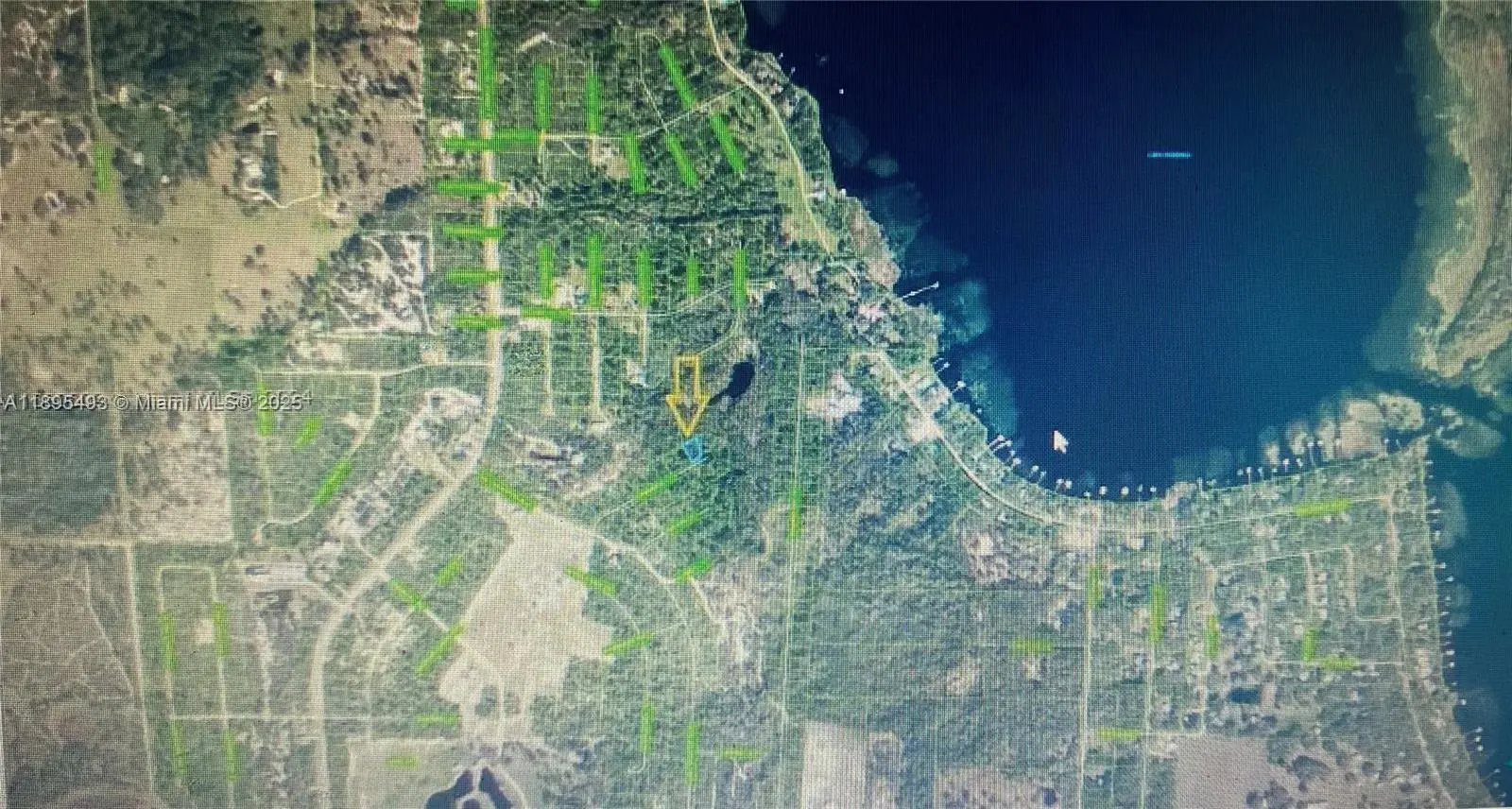 Photo of Listing #A11895493