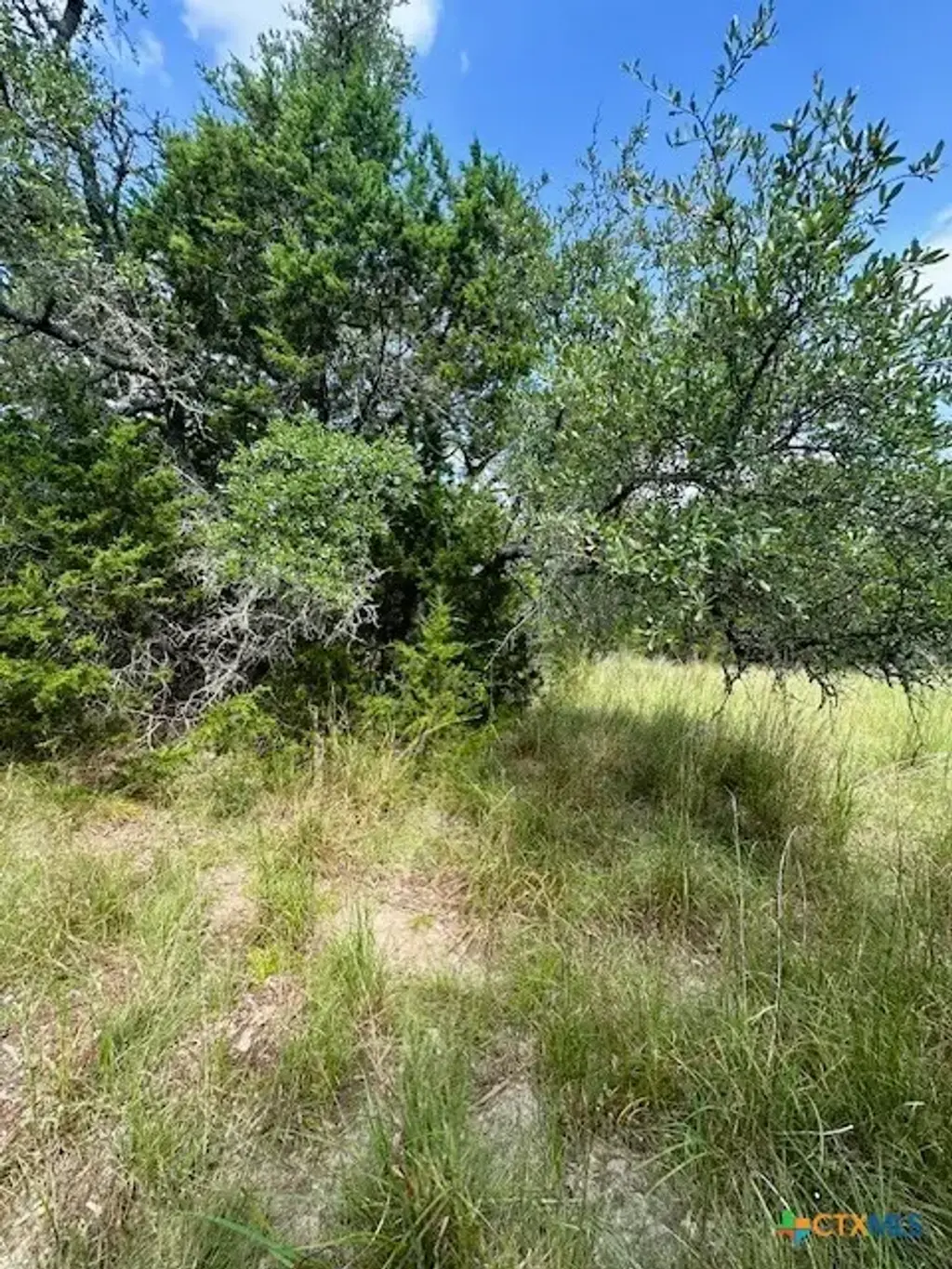 Tbd Lot 3 Royal Eagle Dr., Fischer