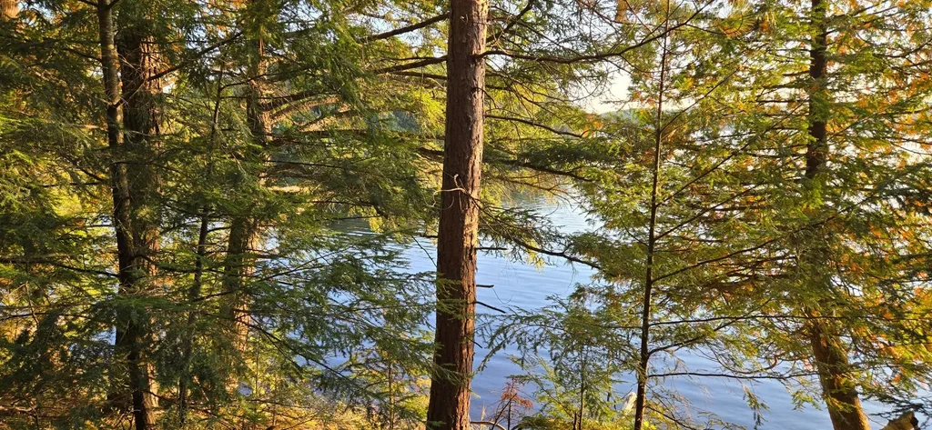 Lot 1 Bartsch Rd, Presque Isle