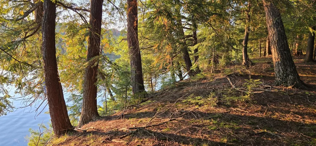 Lot 2 Bartsch Rd, Presque Isle