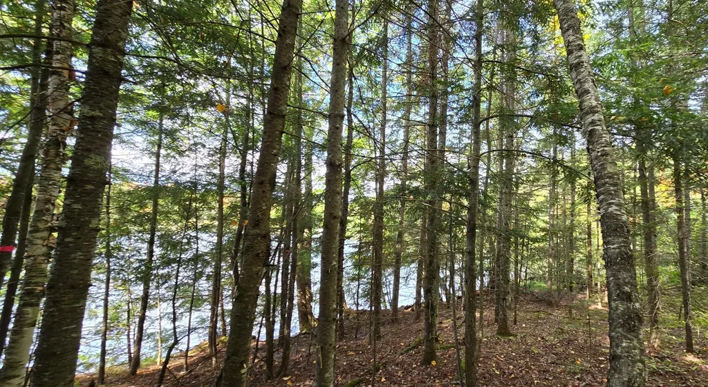 Lot 5 Bartsch Rd, Presque Isle