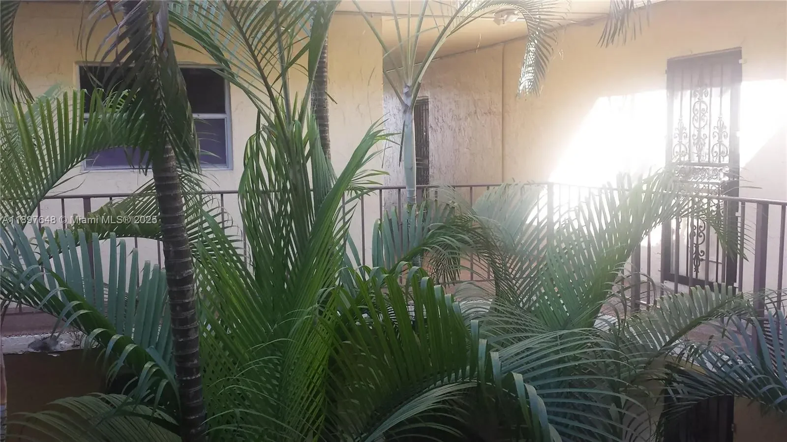 Photo of Listing #A11897648