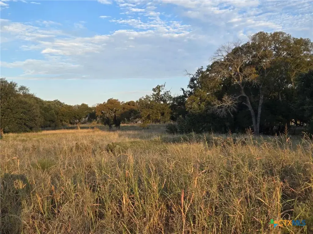317 Yellowstone Drive, Oglesby
