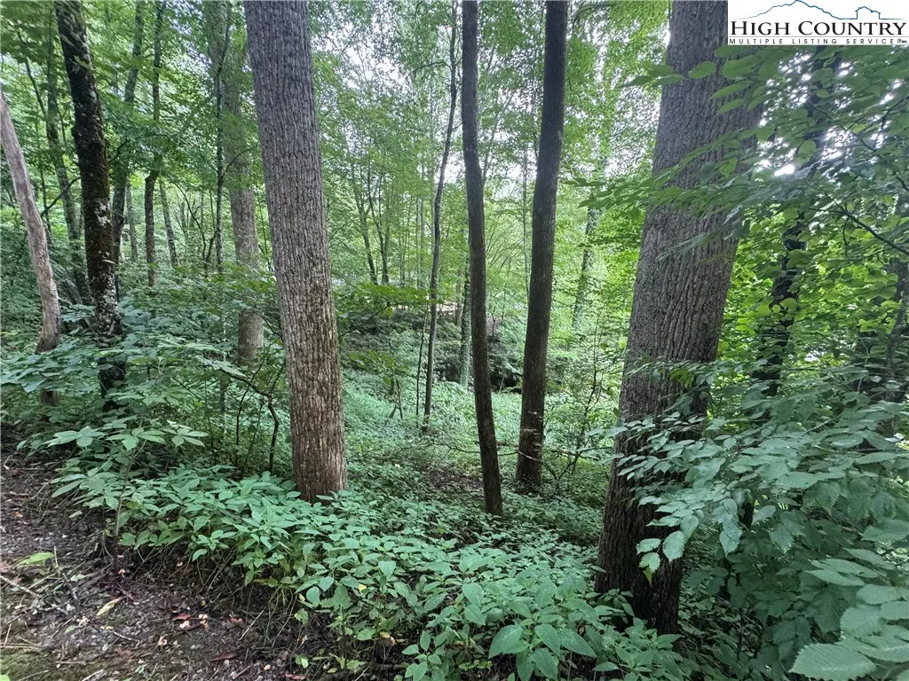 Tbd Clubhouse Drive, Banner Elk