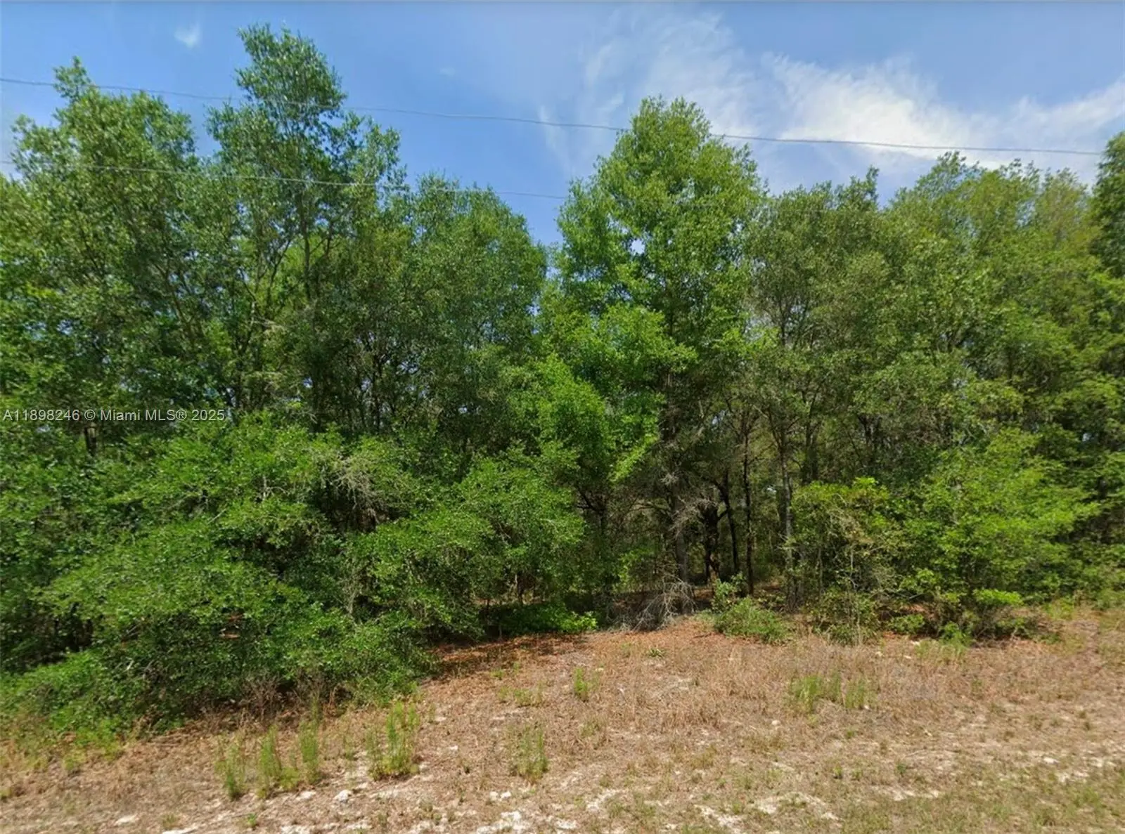 Photo of Listing #A11898246