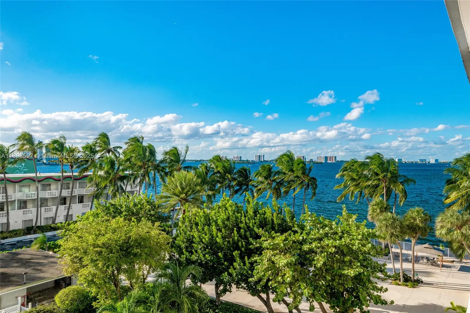 Photo of Listing #A11898597