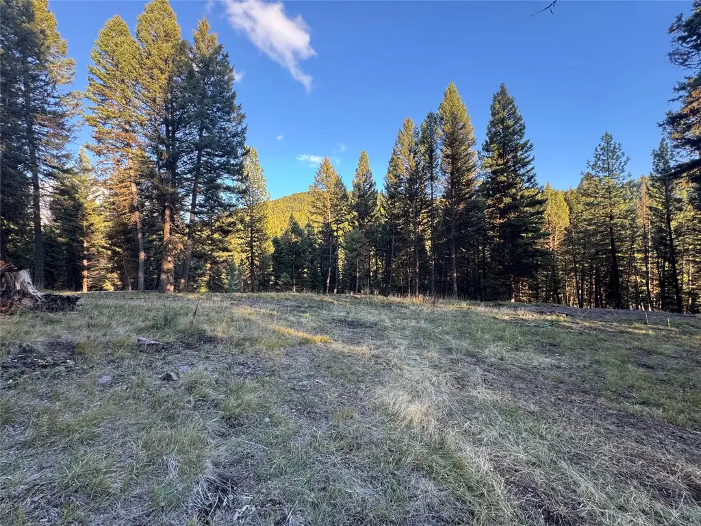 250 Summit Drive, Seeley Lake