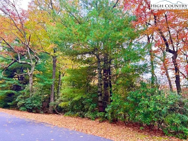 Tbd Troon Avenue # 167, Roaring Gap